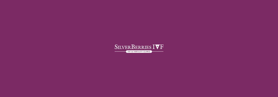 22-Silver-Berries_Banner